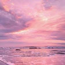 Hoàng Quốc Trung avatar